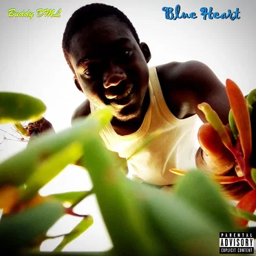 Blue Heart