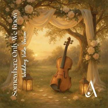 Somewhere Only We Know (Violin Cover)