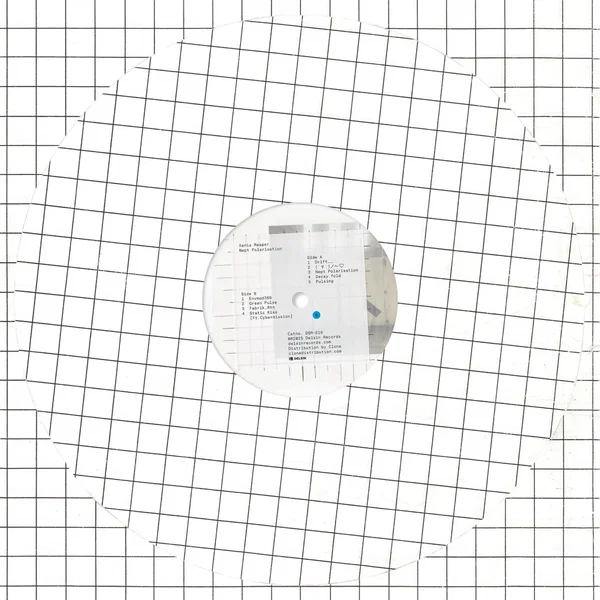 Nept Polarisation