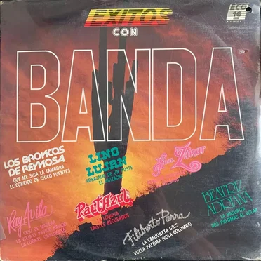 Exitos con banda by Varios - album cover