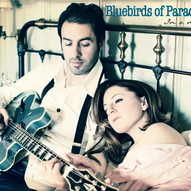 In a Night by Bluebirds of Paradise - album cover