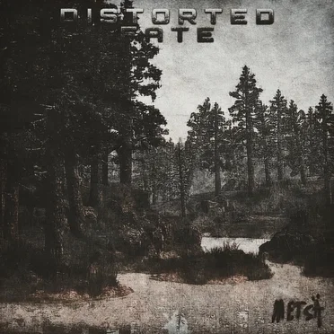 Metsä by Distorted Fate - album cover