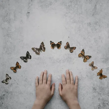 Now I Do Not Know Whether I Am a Man Dreaming I Was a Butterfly, or Whether I Am Now a Butterfly, Dreaming I Am a Man