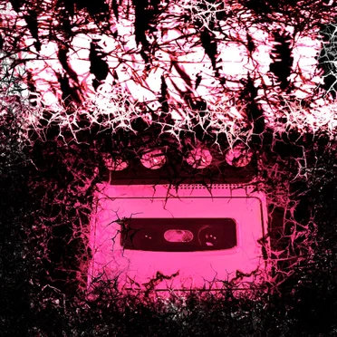 All Pink Everything Bitch by Novari - album cover