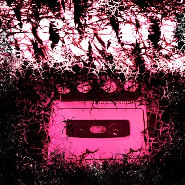 All Pink Everything Bitch