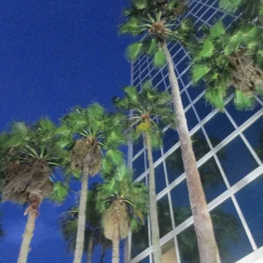 An Afternoon and Evening in Orlando, FL