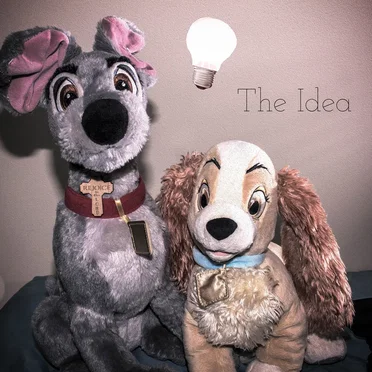 The Idea