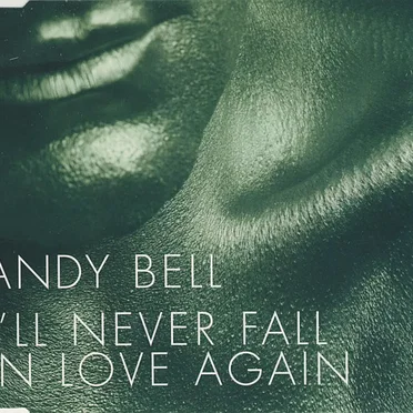 I'll Never Fall in Love Again