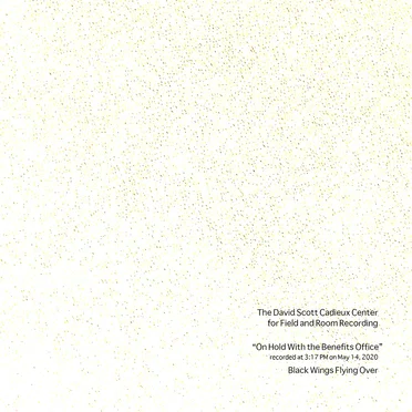 On Hold With the Benefits Office / Black Wings Flying Over by The David Scott Cadieux Center for Field and Room Recording - album cover