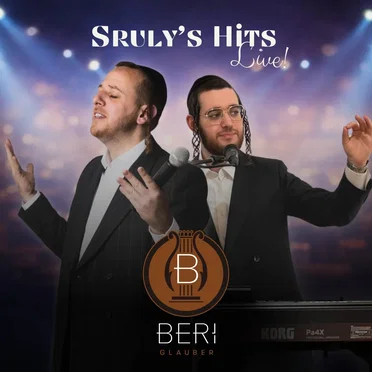 Sruly's Hits