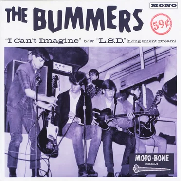 I Can't Imagine / L.S.D. (Long Silent Dream) by The Bummers - album cover
