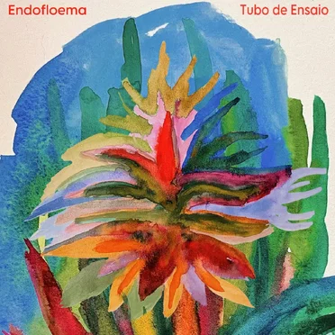 Endofloema by Tubo de Ensaio - album cover