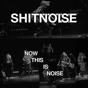 Now THIS Is Noise by ShitNoise - album cover