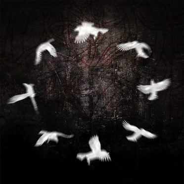 A Circle of Crows