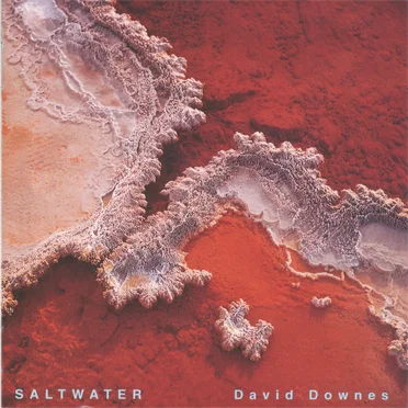 Saltwater by David Downes - album cover