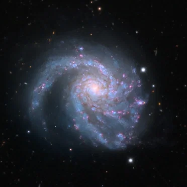 M99