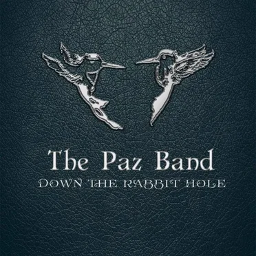 Down The Rabbit Hole by The Paz Band - album cover