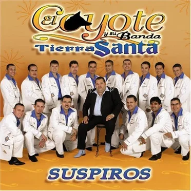 Suspiros