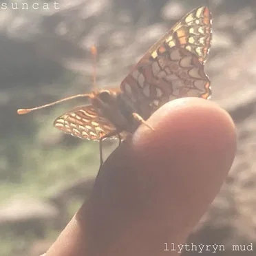Suncat by Llythyryn Mud - album cover
