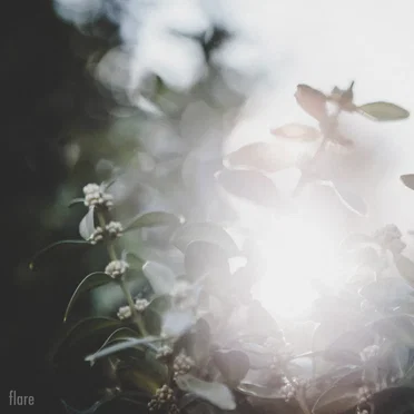 flare