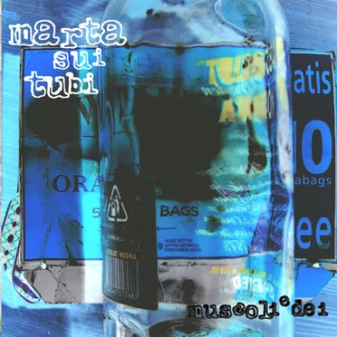 Muscoli e dei by Marta sui Tubi - album cover