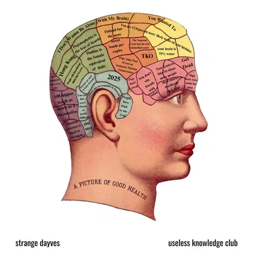 Useless Knowledge Club