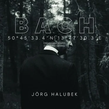 50°45'33.4"N 13°47'30.3"E (Steinberg, Geising)