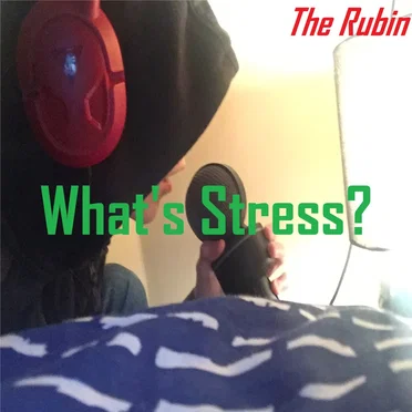 What's Stress?