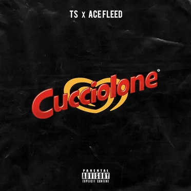 Cucciolone by Toumi Small - album cover