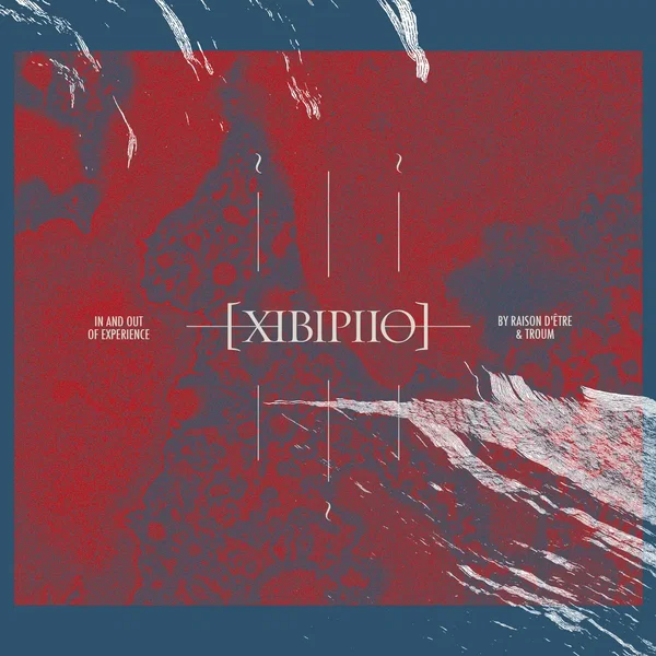 XIBIPIIO. In and Out of Experience