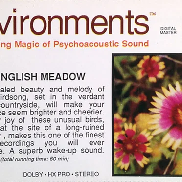 Environments 11 by Irv Teibel - album cover