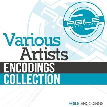 Encodings Collection by Various Artists - album cover