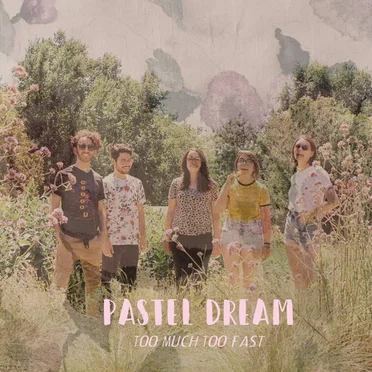 Too Much Too Fast by Pastel Dream - album cover