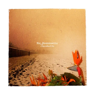 Taciturn by Nic Bommarito - album cover