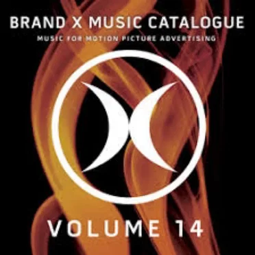 Volume 14 by Brand X Music - album cover