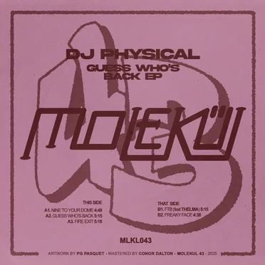 Guess Who's Back by DJ Physical - album cover