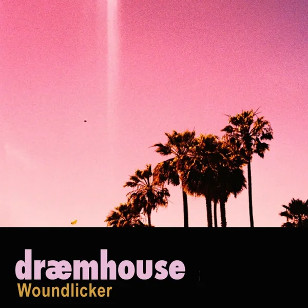 Woundlicker