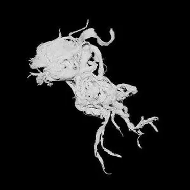 Light Damage by Light Damage - album cover