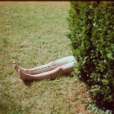 Somebody Moves the Ends by The Gates of Sleep - album cover