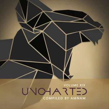 Uncharted, Volume XIX by Various Artists - album cover