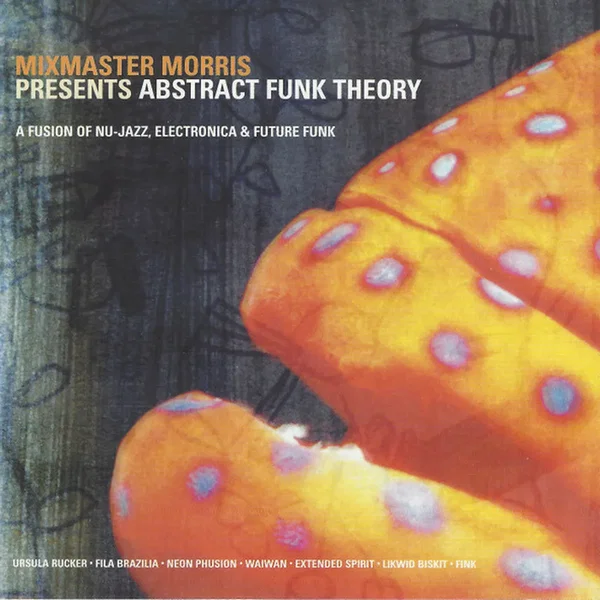 Mixmaster Morris Presents Abstract Funk Theory