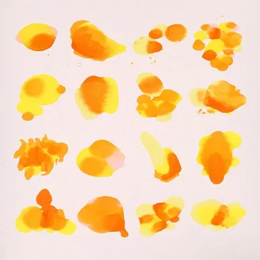Chrysanthemums by Born Ruffians - album cover