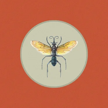 Cazador I