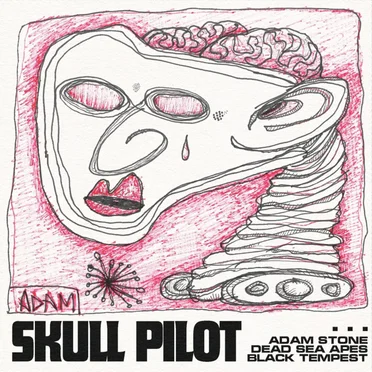 Skull Pilot