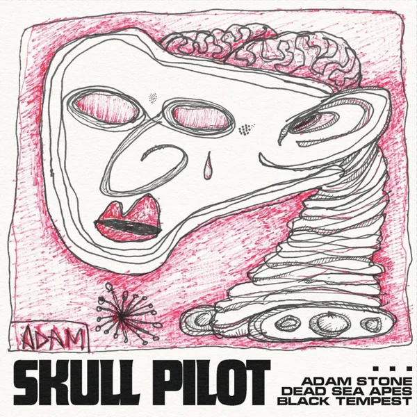 Skull Pilot