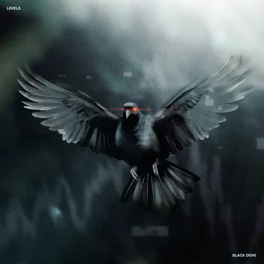 Black Dove by LEVELS - album cover