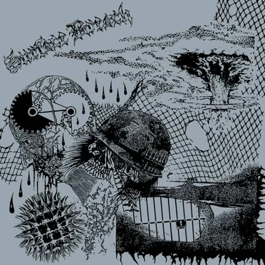 S/T