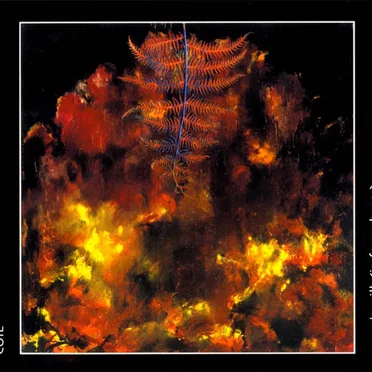 Moon’s Milk (In Four Phases)