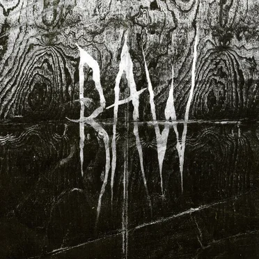 From the First Glass to the Grave by Raw - album cover
