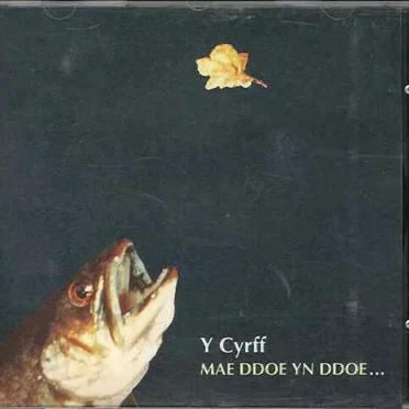 Mae Ddoe Yn Ddoe